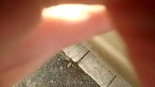 Не работает бензонасос...Что делать?