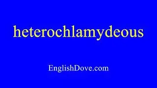 How to pronounce heterochlamydeous in American English