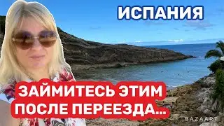 Испания советы для активной иммиграции 