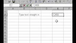 Microsoft Office Excel 2000 Understanding Spreadsheet basics