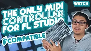 The ONLY MIDI Controller For FL Studio (Akai Professional Fire Review)