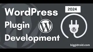 WordPress Plugin Development | 2024