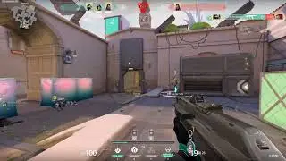 Ace