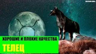 Хорошие и плохие качества Тельца