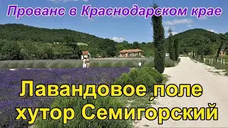 Лавандовое поле под Анапой/пос. Семигорский/Русский Прованс/лавандовая ферма/красоты Кубани.