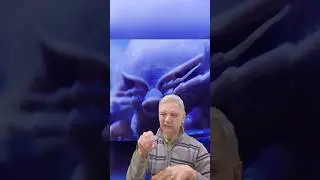 что за чудище! изопод. интересно.  #глухие #ржя #deaf #интересныефакты #deafcommunity