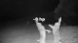 Rabbit Duel - No Hit Damage