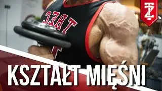 NADAWANIE KSZTAŁTU MIĘŚNIOM - Budowanie masy mięśniowej: Michał Karmowski (Zapytaj Trenera)