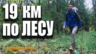 19 km in forest with metal detector