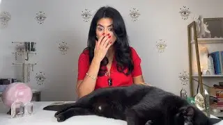 CANCER I AM SPEECHLESS! YOU WILL BE SO HAPPY!! | NOV.4-11