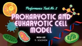 P.T. NO.2: PROKARYOTIC AND EUKARYOTIC CELL | GENERAL BIOLOGY 1 | IRISH LEE