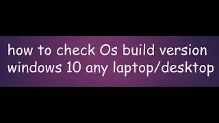 how to check os build version windows 10