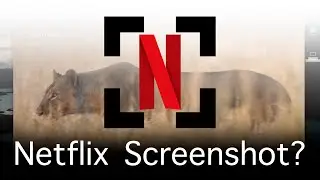How To Screenshot Netflix in Google Chrome
