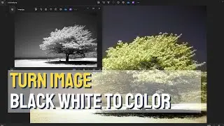 Transform Image Black and White to Color | colorize photo with AI 2024