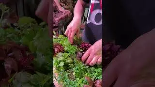 Кому какая нравится?
