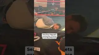 Sean Ross Sapp Gets Wrecked By A Pounce From Mojo