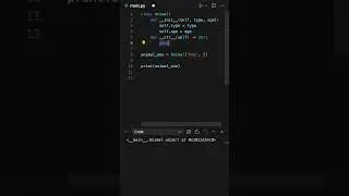Python Programming: Mastering the __str__ Method