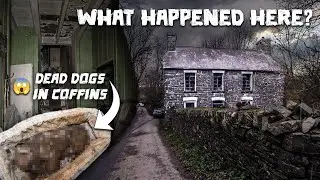 HORRIFYING Discovery In This Abandoned Welsh Cottage! - Found Dead Dogs in Coffins