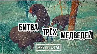 Days Gone Бой Трёх Медведей Между Собой Пепельный Болт Three Bears Fight Between Themselves Ash Bolt