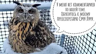 A frame house for owls and humans for the second winter. Impressions of living in the cold, nuances