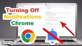 Quick Tutorial: Turning Off Chrome Notifications on Windows PC