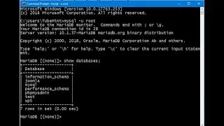 Connect to MySQL through Command Prompt CMD - Windows 10