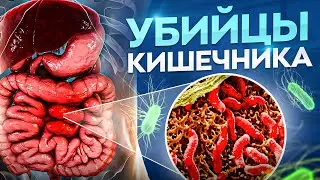 КИШЕЧНИК = ИММУНИТЕТ + 7 фактов, которые вы НЕ знали!