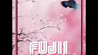 FUJII - Breaking