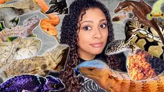 Feeding All My Reptiles