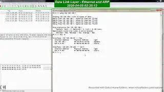 Data Link Layer   Wireshark Analysis