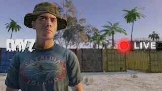 🔴 DayZed and confused on Catalina Island