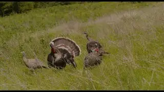 Follow the Avian X TV crew through the great state of Nebraska!