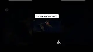 Вот они как выглядят