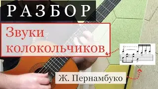 РАЗБОР. Звуки колокольчиков. Пернамбуко.