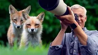 Approach & photograph wildlife (best camera settings!)