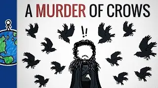 Why Is A Group Of Crows Called A “Murder”?