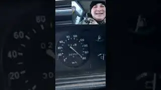 Алекс топ