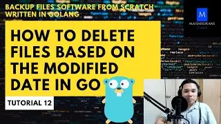 How to Delete Files Based on the Modified Date In Go - Backup Files Software From Scratch in Go #12