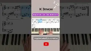 К Элизе Бетховен на фортепиано пианино piano short #shorts