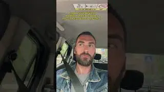 Быстро посмотрим щенков 😁 