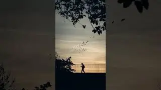 I am a photographer..... 