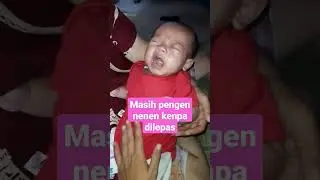 bayi nangis masih pengen nenen ga mau di lepasin 