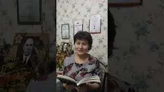 О бездомной собаке