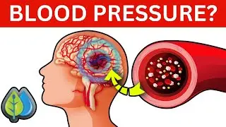 The Hidden Secrets to Lowering Blood Pressure FAST