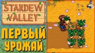 Stardew Valley #4 - Первый Урожай