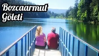 Bozcaarmut Göleti ~ Gezilecek yerler ~ Pazaryeri / Bilecik