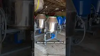 Пищевые мешалки Асан ASAN