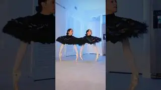 Y tu que haces con tu hermana los fines de semana? 😂🦢 quieren ver detras de camaras?