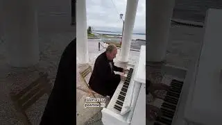 Маэстро за инструментом )))