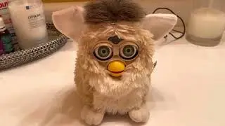 bear Furby